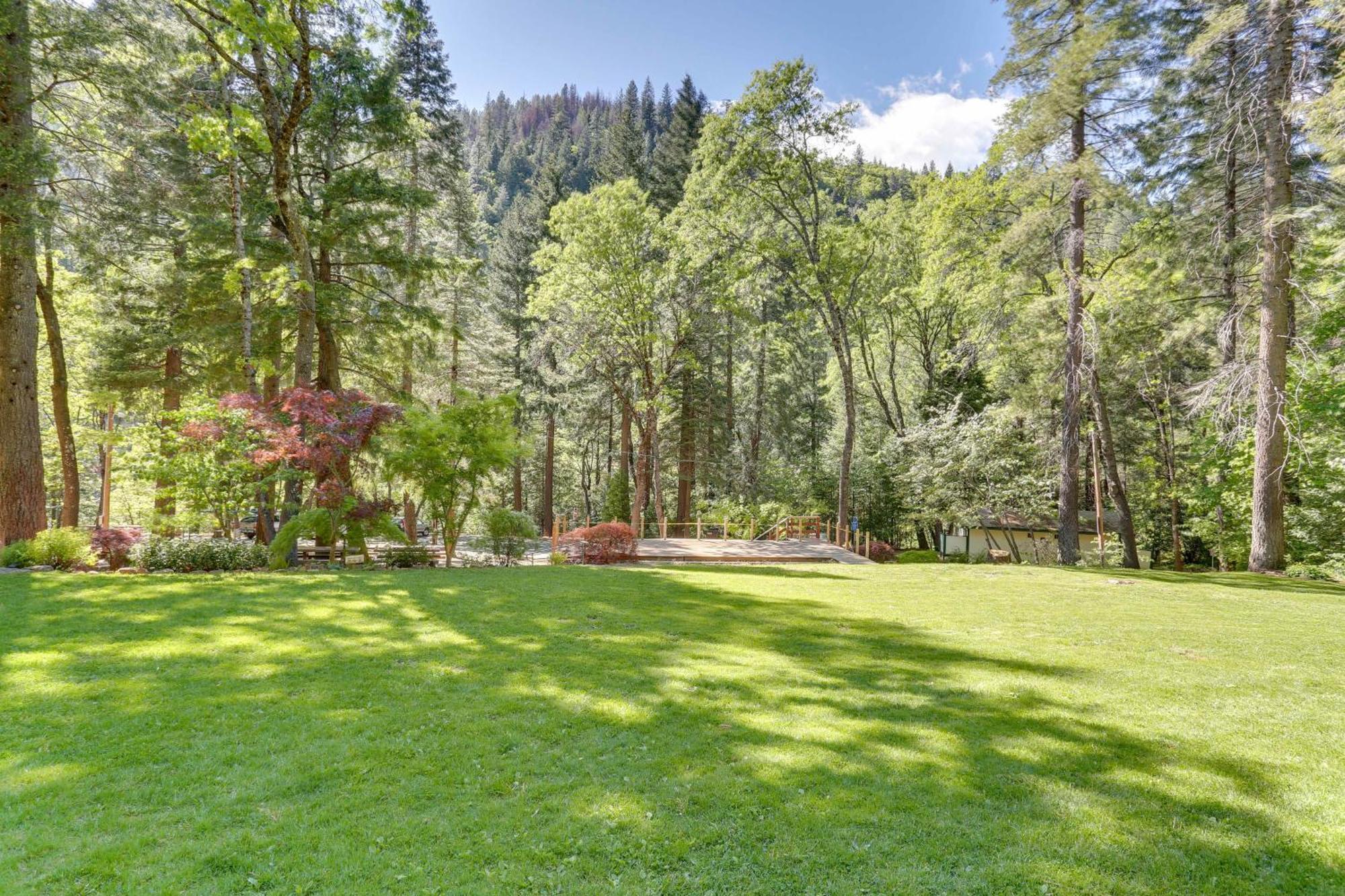 Dunsmuir Apartment About 17 Mi To Mt Shasta Ski Park! Exterior foto